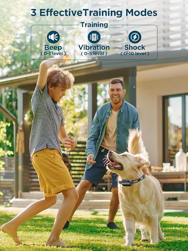 Wireless Dog Fence for 2 Dogs, GPS Wireless Dog Collar with 3 Warning Modes, Pet Containment System with AI Smart Signal, Electric Dog Fence for Outdoor Use(2 Collars)