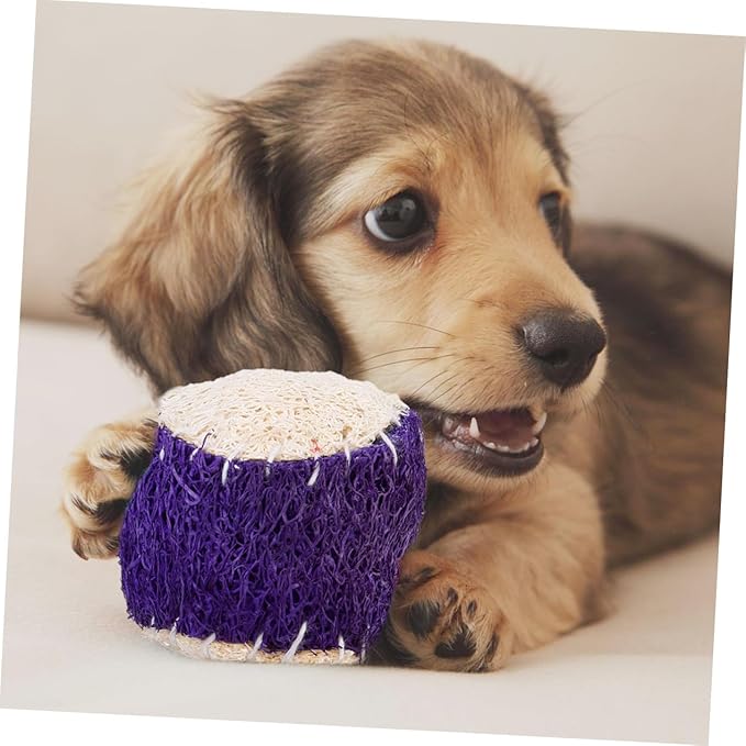 Dog Chew Tennis Ball 2pcs Natural Loofah Interactive Puppy Chewing Training Supplies Sturdy Pet Ball for Dogs Random Color