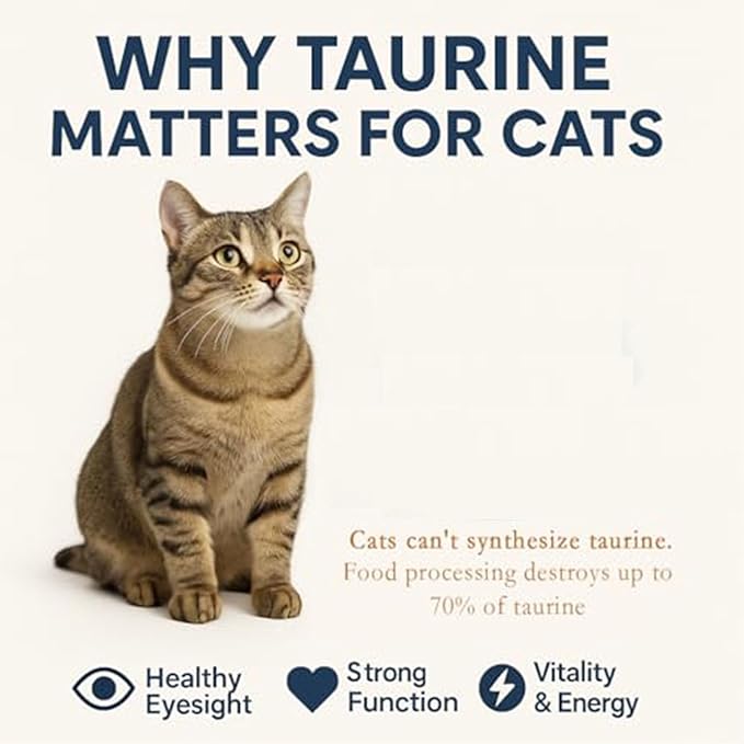 Whole Body for Cats - Unflavored & Gluten Free, 220g(0.49 lbs)