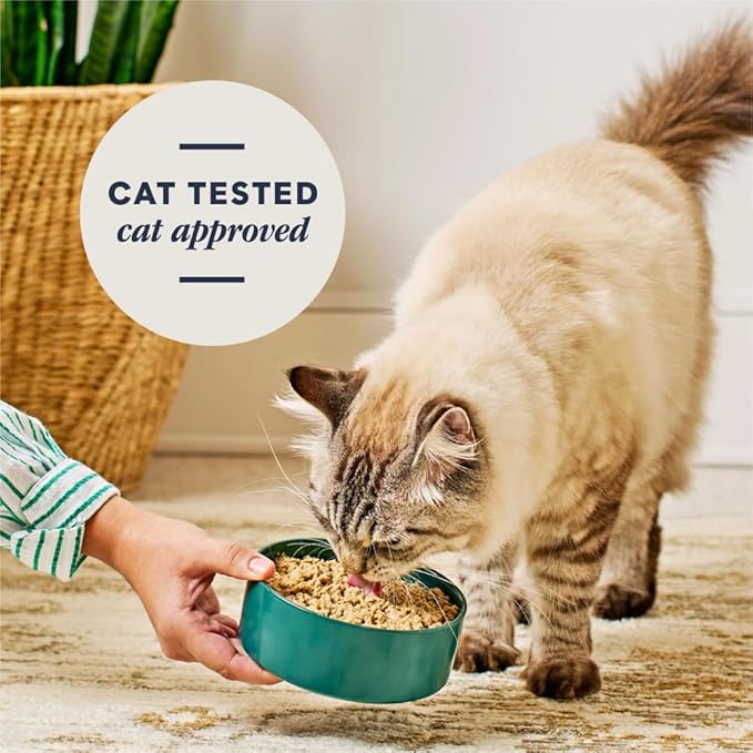Instinct FreshDried Pates, Freeze Dried Cat Food, Grain Free - Surf & Turf Entrée, 13 oz. Bag