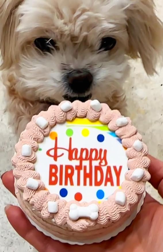 Crispy Rocky Road w/Marshmellows Dog Birthday Cake- Edible Puppy Party Crispy Vanilla Rice Cake, Yogurt Icing w/Marshmellows-Perfect Dog Party Cake Boxed, Iced and Decorated