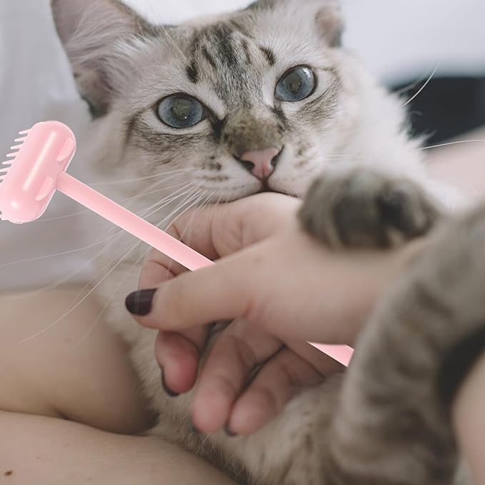 TOYANDONA Scratch Brush for Cats Self Grooming Massage Tool for Shedding Cleaning Design for Relief and Easy Use Safe Material for Cats and Kittens