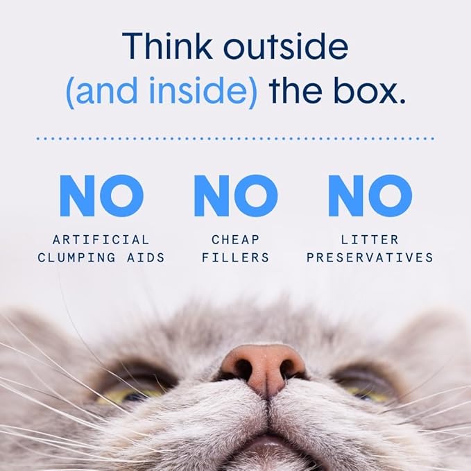 Boxie® Glo™ 30 Day Odor Control Non-Clumping Crystal Cat Litter, 18 lb, Natural Attractions, UV Light Attractant, Soft Granules, 99.9% Dust-Free, Long-Lasting for Multi-Cat Homes (3 Pack of 6lb Bags)