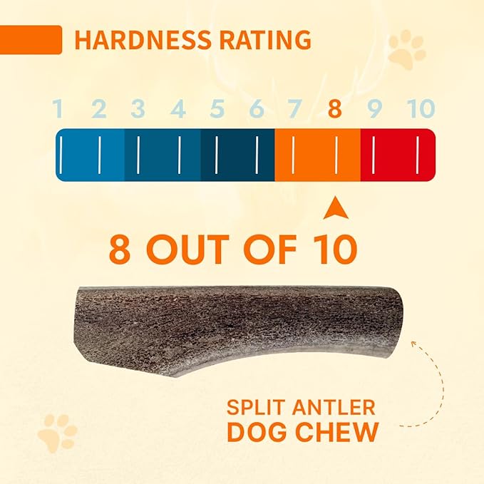 Tibetan Elk Antler for Dogs, Grade-A, 5"+ Premium Chews, Pack of 2, Naturally shed Healthy & Longer Lasting Aggressive chewers, USA Product Antler (Whole)