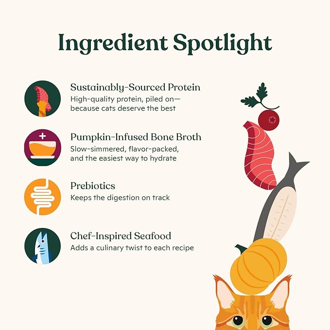 Made by Nacho Flaked Filets Recipe in Bone Broth, Grain-Free Chef's Selects Wet Food for Cats Balanced Diet in Naturally Hydrating Pumpkin-Infused Broth (3.0 oz (Pack of 12), Tuna & Sea Bass)