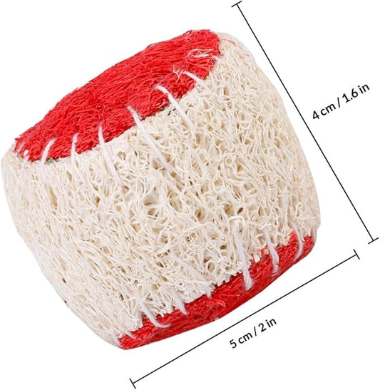 BESPORTBLE 2pcs Natural Loofah Dog Chew Tennis Ball Set for Puppy Training Interactive Pet Chew Sturdy Ball Supplies for Dogs Random Color