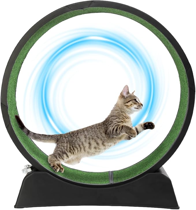VINGLI Cat Exercise Wheel, 31" Cat Treadmill for Indoor Cats, Cat Running Wheel with Carpeted Runway for Weight Loss & Daily Exercise (Black)