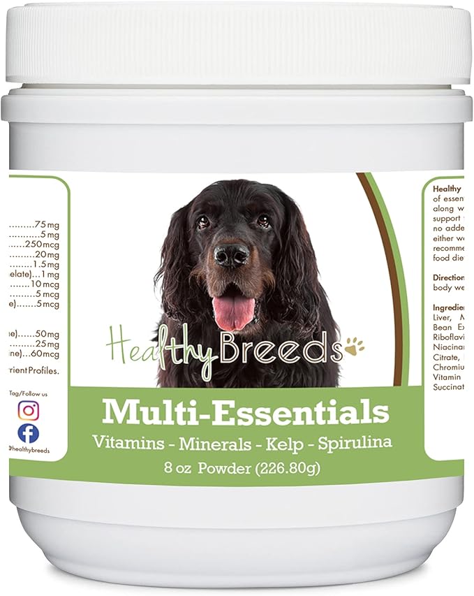 Healthy Breeds Gordon Setter Multi-Essentials Powder for Dogs - an Ideal Supplement of Vitamins, Minerals & Antioxidants for Your Dog - 8 oz