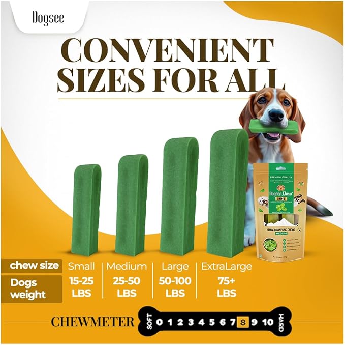 Dogsee Mint Flavor Himalayan Yak Chews for Dogs (Large - 4 Bars) | Aid Digestion | Dog Chews for Teeth Cleaning | Odorless Dog Treats | Rawhide Free | Long Lasting