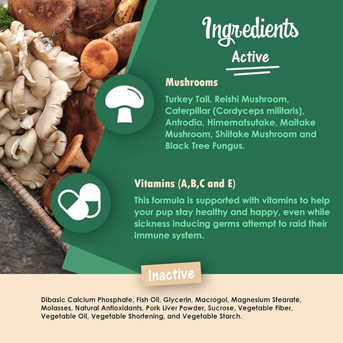 Mycogen Immune Support for Dogs – Beta Glucan, Reishi, Shiitake & Maitake Mushroom Blend – Helps Boost Immunity & Defend Against Illness – Vet-Formulated – 60 Tasty Liver-Flavored Soft Chews