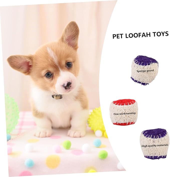 Hemoton 2pcs Pet Chew Natural Loofah Tennis Balls Sturdy Dog Chew for Puppy Training Interactive Dog Ball Chewing Supplies Random Color