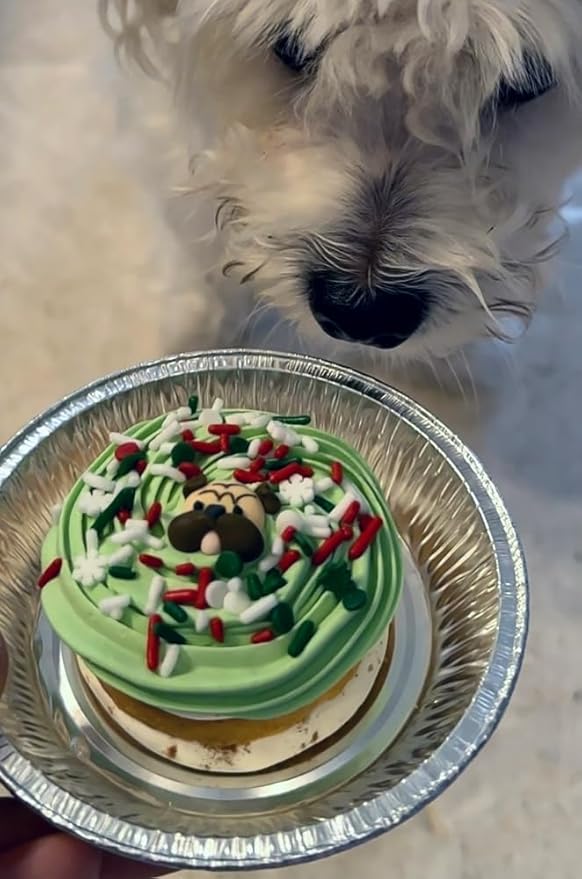 Dog Christmas Cake Treat