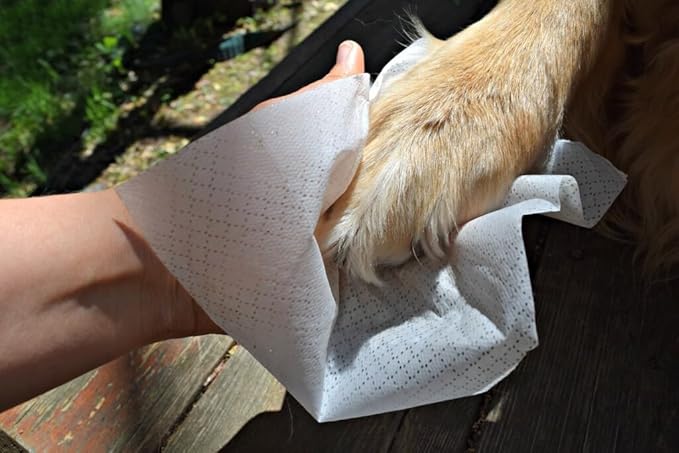 All-Purpose Dog Wipes - Pet Wipes for Dogs with Natural Ingredients - Puppy Wipes with Aloe Extract for Everyday Use, 100-Pack