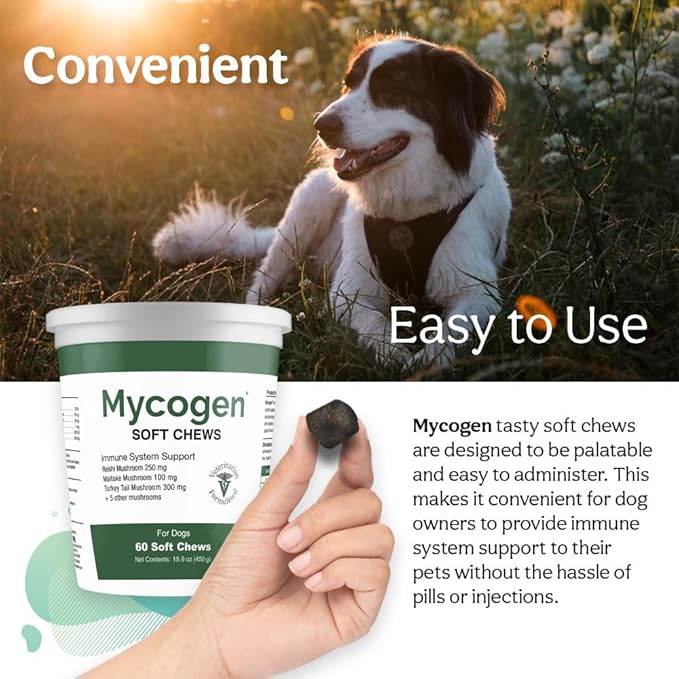 Mycogen Soft Chew for Dogs - 8 Species Mushroom Blend for Critical Immune System Support- Turkey Tail, Reishi, Shiitake, Cordyceps, Black Tree Fungus-120 Tasty Soft Chews
