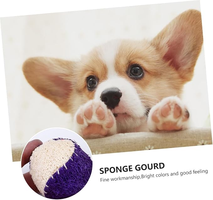 SOLUSTRE 2pcs Dog Chew Natural Loofah Tennis Balls Sturdy Puppy Chewing Training Interactive Pet Chew Supplies for Dogs Random Color