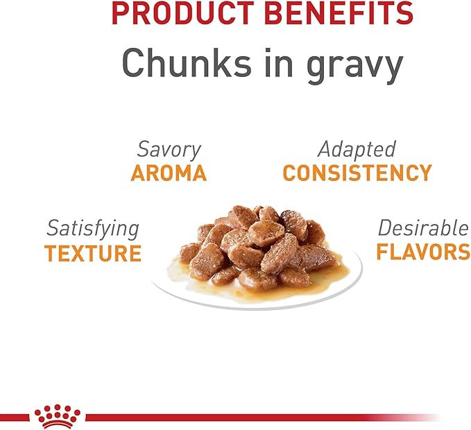 Royal Canin Feline Care Nutrition Hair & Skin Care Adult Chunks in Gravy Cat Food, 3 oz (Pack of 12)