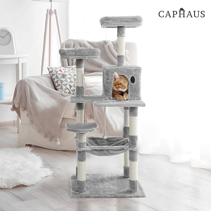 CAPHAUS Tall Cat Tree for Indoor Cats, Modern Cute 58-Inch Cat Climbing Play Tower with Top Perch for Large Cats Kittens, Multi-Level Cat Activity Tree w Scratching Posts, Hammock, Cat Cave Condo