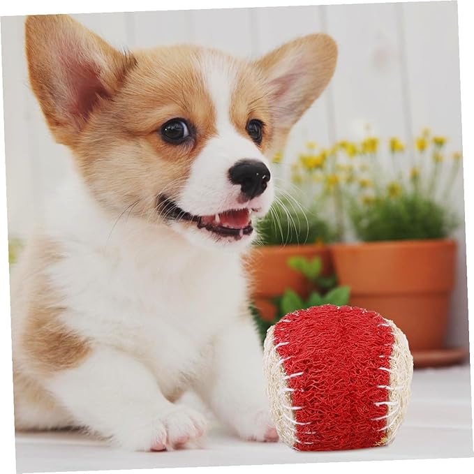Dog Chew Tennis Ball 2pcs Natural Loofah Interactive Puppy Chewing Training Supplies Sturdy Pet Ball for Dogs Random Color