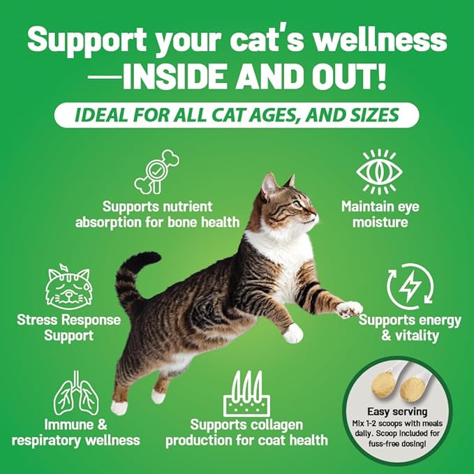 Guardian’s Choice 250mg L-Lysine for Cats, Advanced Immune Support for Respiratory, Eye & Nose Health, Chicken Liver Flavored Lysine Powder for Kittens & Seniors, 200 Servings