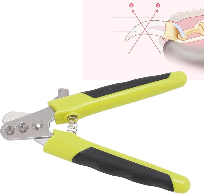 HEEPDD Pet Nail Clippers, Stainless Steel Blades with Round Holes for Easy Cutting Ergonomic Non Slip Handle for Cats Dogs Kittens Rabbits Hamsters Birds (Green Black)