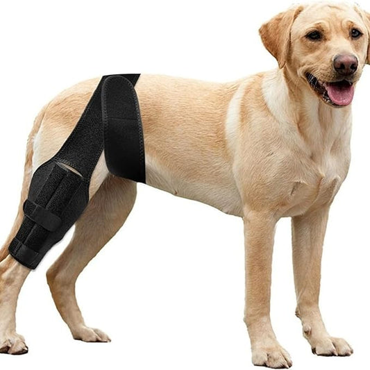 Dog Leg Knee Pads pet Supplies Dog Leg Injury Assistance with Anti Licking Recovery Bandage Protective Cover