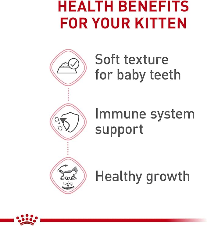 Royal Canin Feline Health Nutrition Kitten Loaf in Sauce Cat Food, 5.1 oz (Pack of 24)