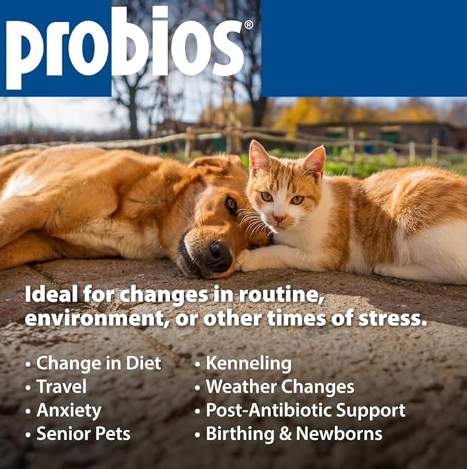 Probios Probiocin Oral Pet Gel for Dogs and Cats, Probiotic Supplement for Digestive & Immune Support, 15 g Tube