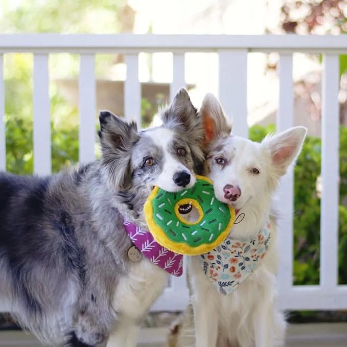ZippyPaws Donutz - No Stuffing Dog Toys to Keep Them Busy, for Small and Medium Dogs, Squeaky Pet Toy for Boredom, Unstuffed Chew Toy, Soft Plush Puppy Products, Funny Food Toy - Mint Chip Donut