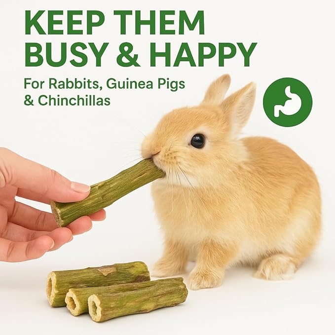 Rabbit Chew Toys – 100% Natural Papaya Branch Sticks for Guinea Pigs, Chinchillas, Small Animals | Safe, Green, High-Fiber Teeth Grinding Treats ((3pc) L:4.3 D:0.79-1.1in)