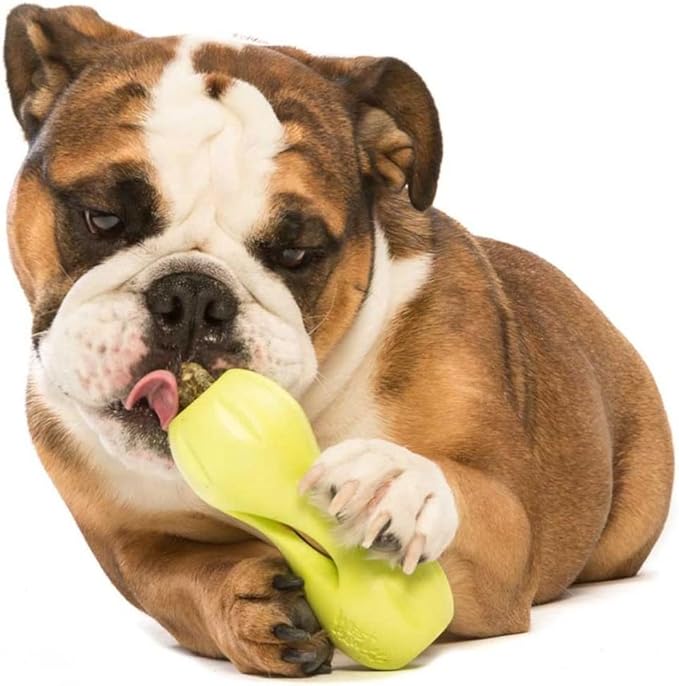 West Paw Zogoflex Qwizl Interactive Treat Dispensing Dog Puzzle Treat Toy for Dogs, Granny Smith, Large