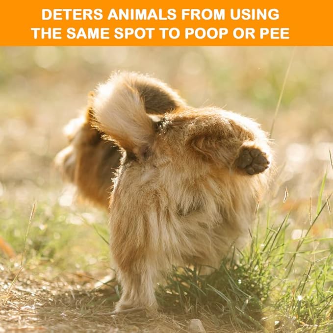 MICROBE-LIFT Outdoor Pet Odor Eliminator For Strong Odor On Turf, Patios, Deck, and Lawns - Keeps Pets From Going in Same Spot, 1 Gallon Refill