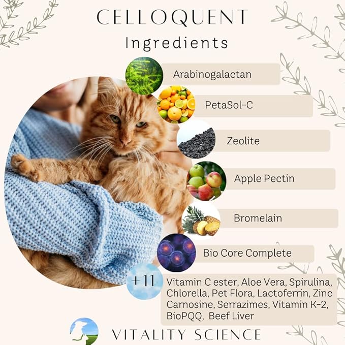 Vitality Science Advanced Immune Restoration Supplements for Cats | Intense Regeneration Protocol | Helps with Pain Relief (Large)