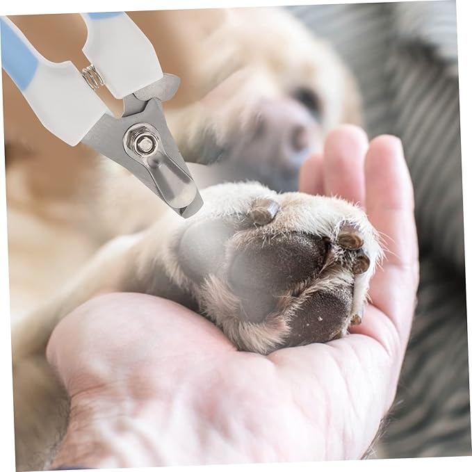 POPETPOP 2-Piece PET Nail Clipper Set Professional Dog Cat Nail Trimmers with File Portable Easy to Use for Home Grooming