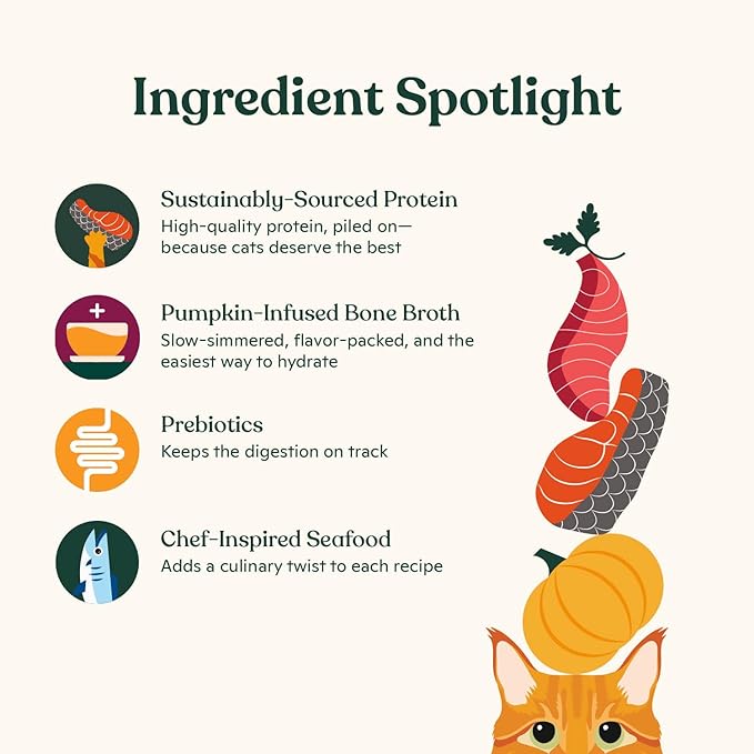 Made by Nacho Flaked Filets Recipe in Bone Broth, Grain-Free Chef's Selects Wet Food for Cats Balanced Diet in Naturally Hydrating Pumpkin-Infused Broth (3.0 oz (Pack of 12), Flaked Fish Variety Pack)