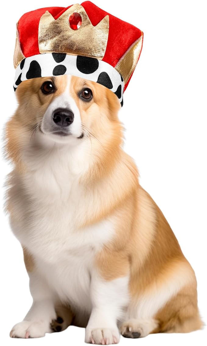 TOYANDONA Pet Dog Hat Party Crown Decorative Birthday Headdress Adjustable One Size for Cats and Dogs Festival Supplies