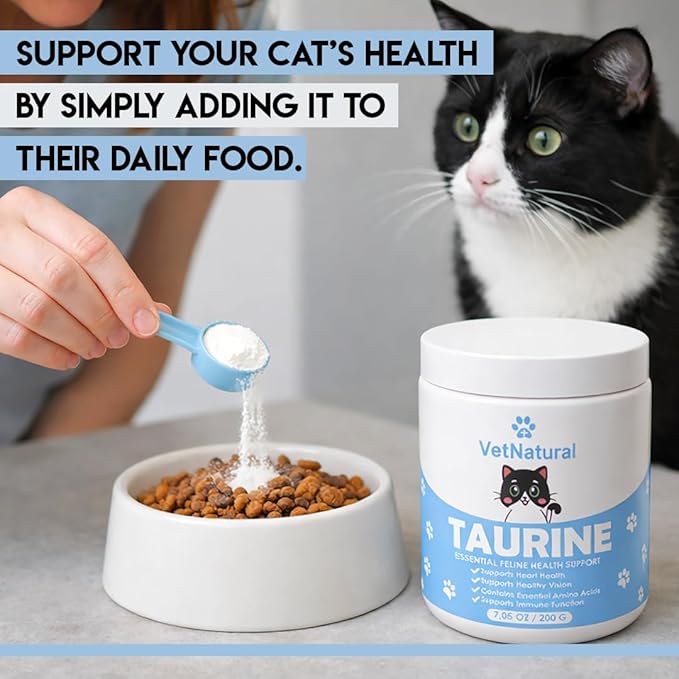 KittySupps Taurine Supplement for Cats – 99.99% Pure Taurine Powder – Supports Daily Nutrition & Overall Wellness – Easy to Mix in Food, Includes Measuring Spoon