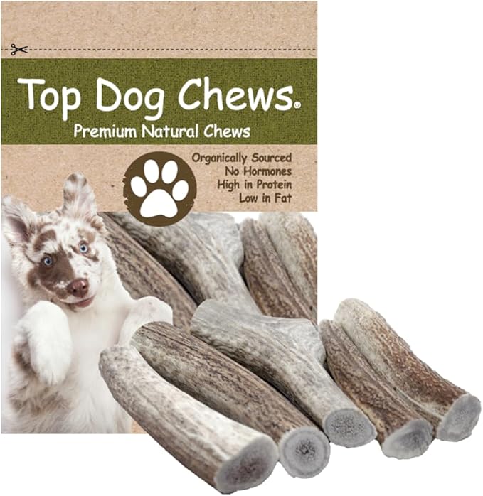 Top Dog Chews – USA Elk Antlers, Premium, Grade A, Thick, Elk Antlers for Extra Large, Large, or Medium Dogs, Natural, Long Lasting Dog Chew for Aggressive Chewers, 5 Pack