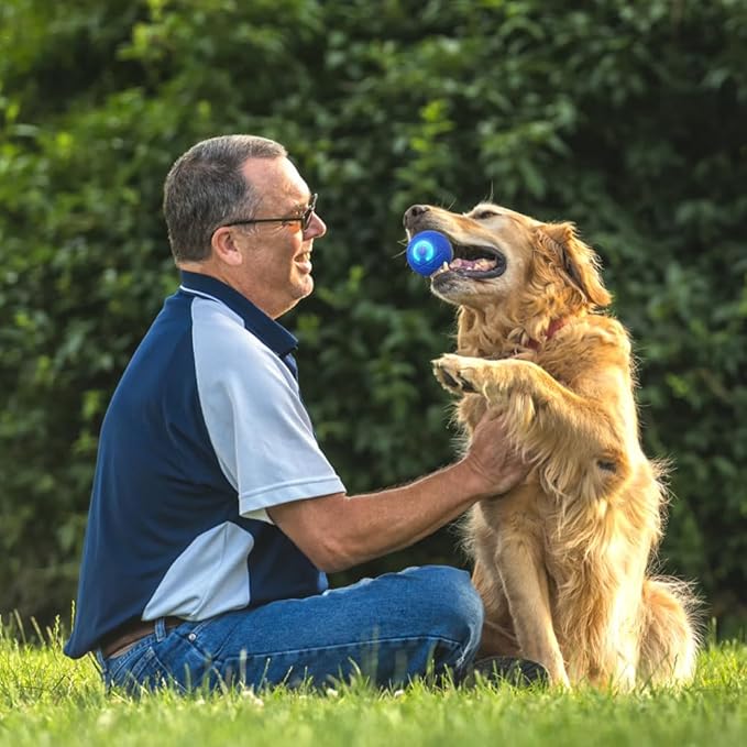 2025 New Dog Ball for Large Dogs, 2PCS Interactive Dog Ball Toy Vibrating Balls, Smart Shaking Pet Bounce Electric Balls Automatic Moving Pet Toy for All Dogs (#A1)