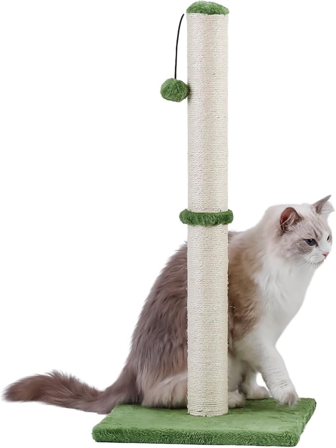 Dimaka Tall Cat Scratching Post, Claw Scratcher with Sisal Rope and Covered with Soft Smooth Plush, Vertical Scratch [Full Strectch] for Standard Size Cats (Green, 34 inches for Large Cats)