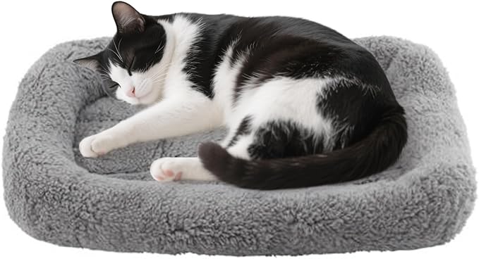 PETLESO Small Cat Bed Mat, 22" x 16" Plush Cushion with Surrounding Pillow for Small to Meidum Dogs Cats Sleeping, Indoor Pet Beds Furniture Carrier Crate Anti Skid Pad, Washable, Medium