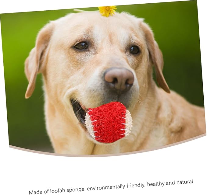 Dog Chew Tennis Ball 2pcs Natural Loofah Interactive Puppy Chewing Training Supplies Sturdy Pet Ball for Dogs Random Color
