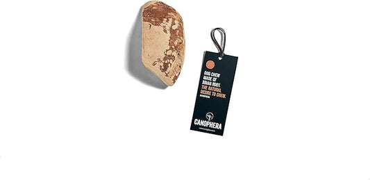 Canophera - Dog Chew Root Made of Briar Wood (Xtra Small)