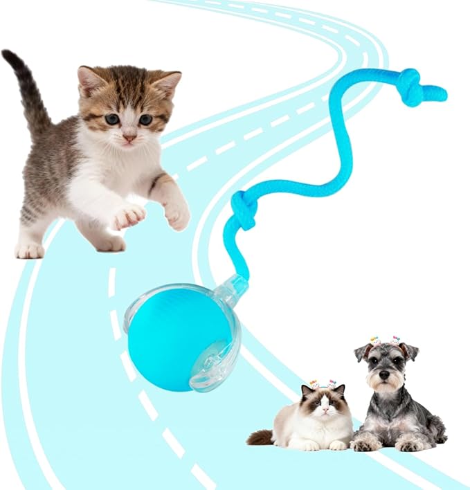 Interactive Cat Toys Ball for Indoor Cats, Interactive Rolling Small Dog Cat Toys Automatic Self Moving, 360°,Electric Balls，Fast Rolling，Smart Automatic Rolling Pet Ball (Blue)