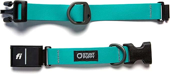 Stunt Puppy Dog Collar, Fi Series 3 and 3+ Ready, Medium, Teal - Compatible with Fi GPS Device (Not Included)