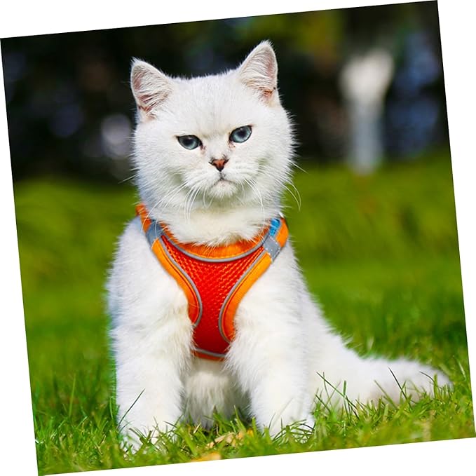 BESPORTBLE Reflective Puppy Vest Leash and Dog Harness Breathable Mesh Chest Strap Medium Size for Walking Cats and Dogs Pet Supplies