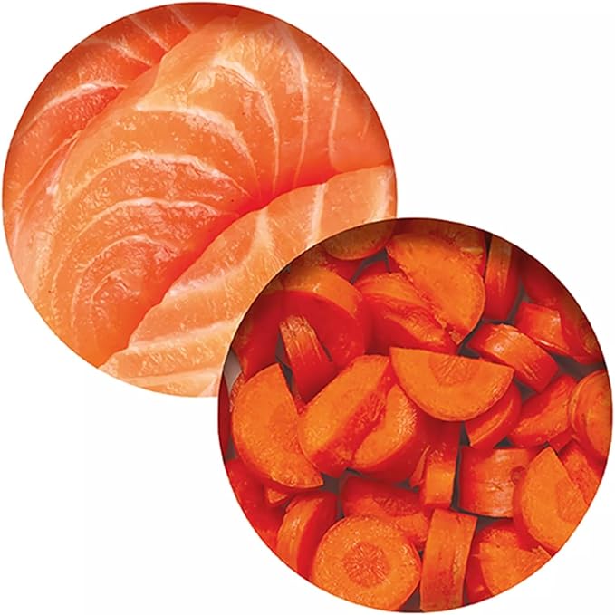 Catit Chicken Dinner with Salmon & Carrot – Hydrating and Healthy Wet Cat Food for Cats of All Ages (Pack of 6)