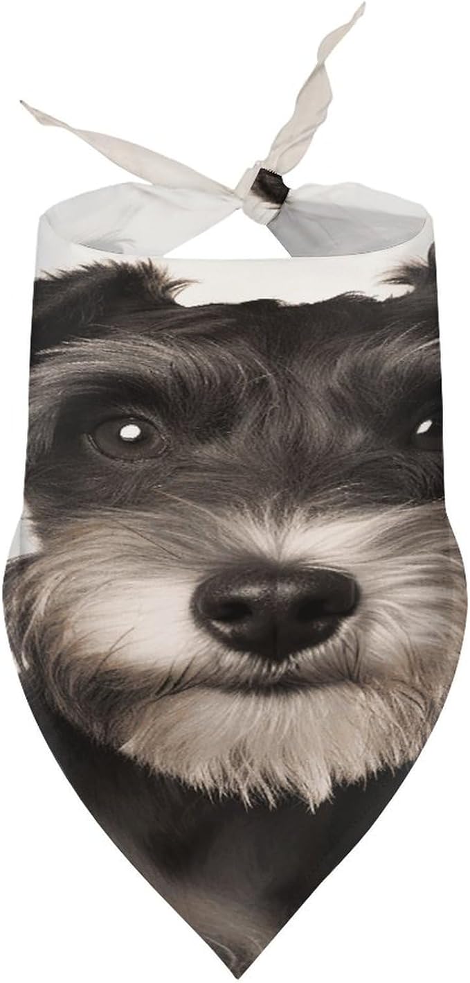 Dog Bandana Spring Pet Scarf Adjustable Triangle Cute Schnauzer Printing Dog Bib Washable Polyester Puppy Bandana for Small Medium Large Dogs Cat Birthday Party Supplies
