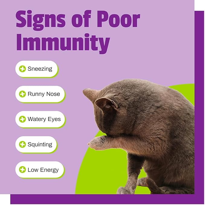 Pet Naturals Lysine for Cats, Chicken Flavor, 60 Chews - Immune and Respiratory Support for Cats - No Wheat or Corn - Vet Recommended