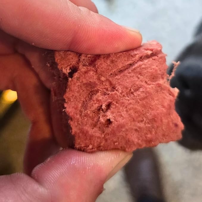 BJ'S RAW PET FOOD Freeze Dried Beef Heart Treats | High-Protein Pet Topper & Snack | Made in USA, 4-Ounce