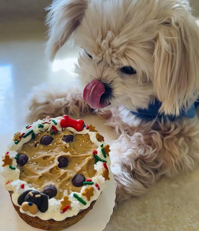 Dog Birthday Cake- Puppy Party Christmas Cookie Gift- Bad to The Bone- Perfect Dog Treat Boxed & Decorated for Dogs